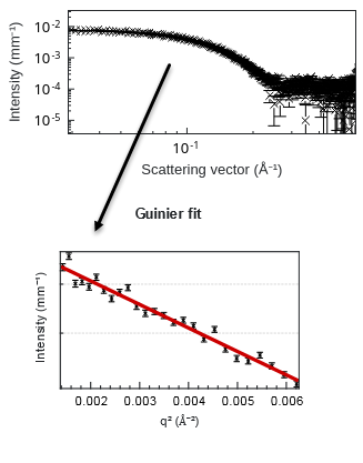 Molecular weight